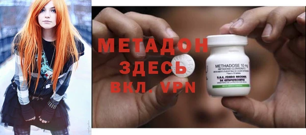 сатива Горняк