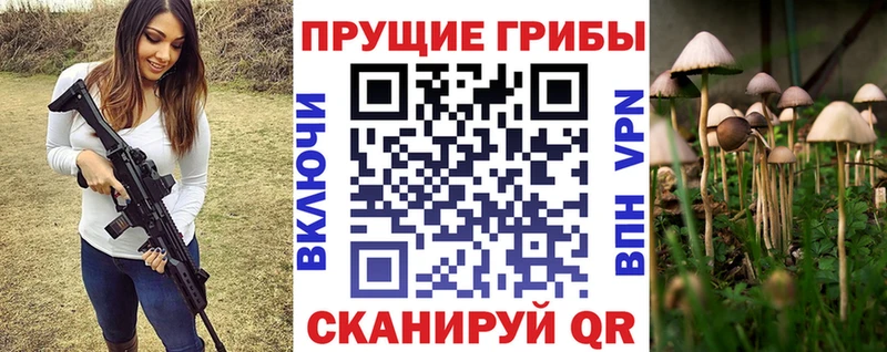 сайты даркнета наркотические препараты  Киреевск  Галлюциногенные грибы Magic Shrooms  где можно купить наркотик 